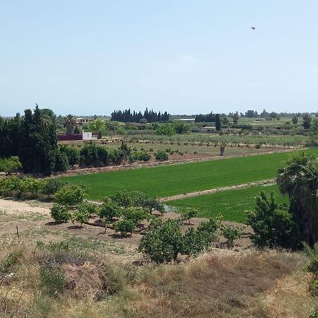 L'Hortet Del Iaio Camarles Luaran gambar